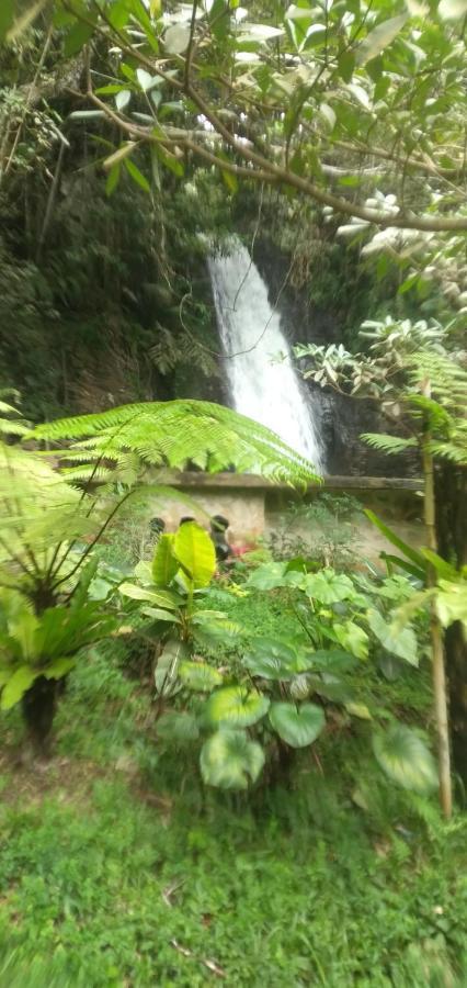 Hidayah Homestay Kelimutu Exterior foto