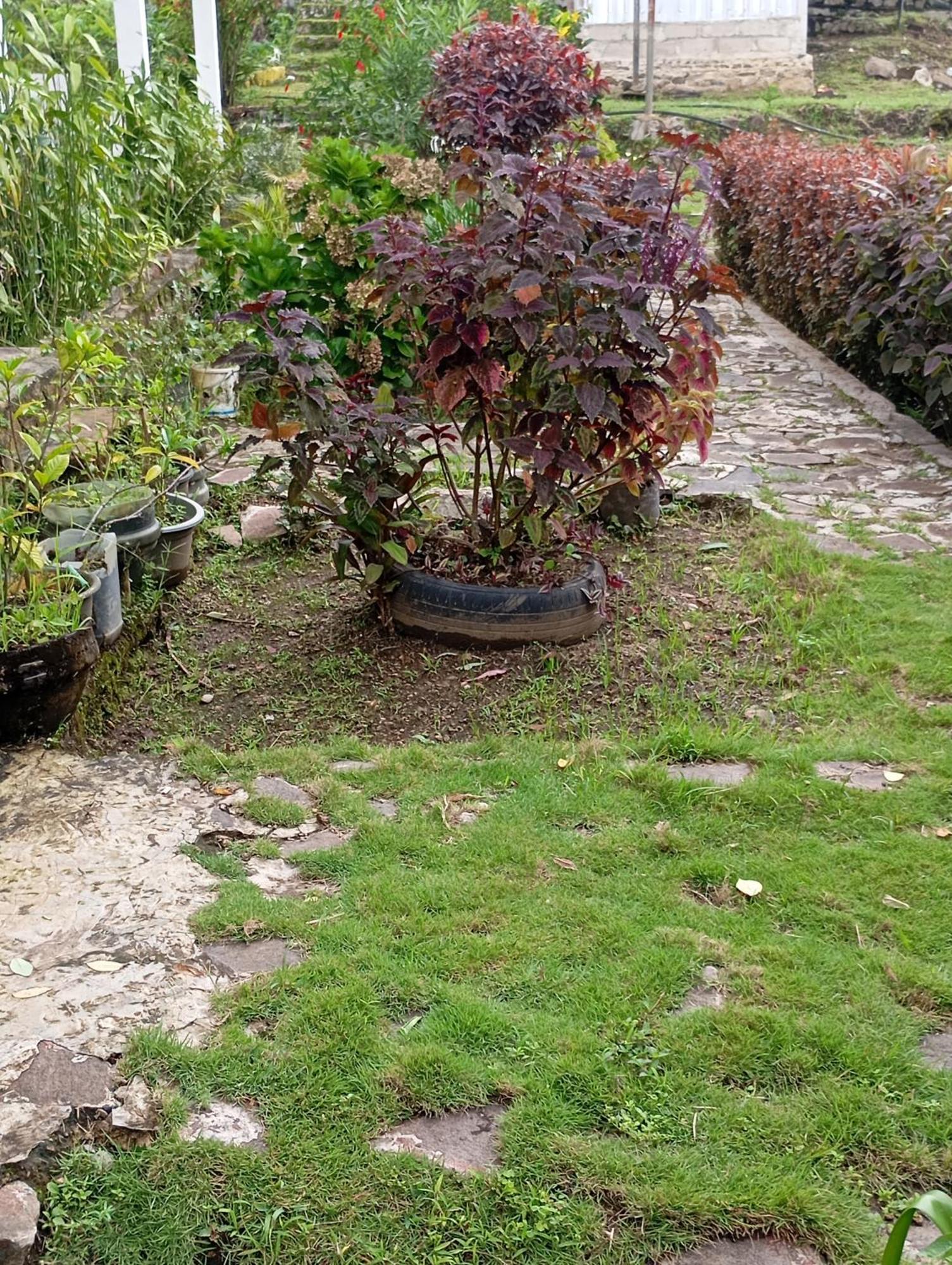 Hidayah Homestay Kelimutu Exterior foto