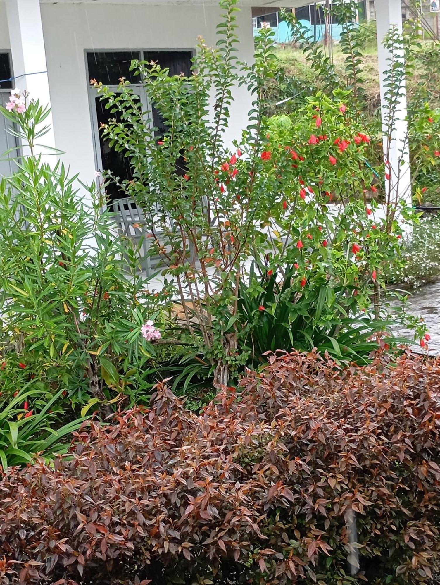 Hidayah Homestay Kelimutu Exterior foto